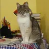 Отзыв от Ираида Туманова